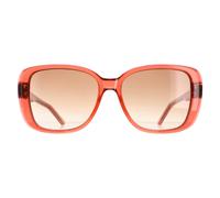 Ted Baker TB1640 Margo Sunglasses Rose / Brown Gradient