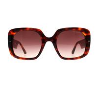 Ted Baker TB1730 Catrina Womens Tortoise Sunglasses