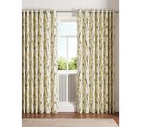 Ted Baker 'Wild Iris' Cotton Lined Curtains in Cream | Size: 228 cm width x 137 cm drop Ted Baker Cream 228 cm width x 137 cm drop