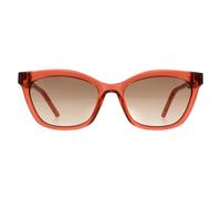 Ted Baker Sunglasses TB1639 Tanner 220 Transp Candy Cane Red Brown Grey Gradient