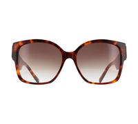 Ted Baker Women's Square Gloss Classic Tortoise Brown Gradient TB1767 Linia