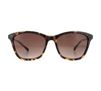Ted Baker Women's Square Havana Brown Gradient TB1440 Tari Sunglasses