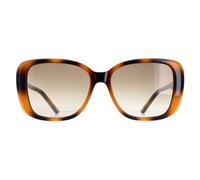 Ted Baker TB1640 Margo Sunglasses Havana / Brown Gradient