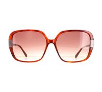 Ted Baker Square Tortoise Brown Brown Gradient Tb1616 Indi Brown
