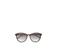 Ted Baker Women's Tierney Sunglasses in Brown