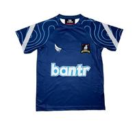 Ted Lasso/ AFC Richmond Jersey - Training (UK, Alpha, 3XL, Regular, Regular, Navy)