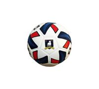Ted Lasso Football - AFC Richmond