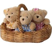 Teddy Bears' Picnic