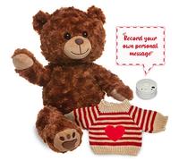 Teddy Tastic - Charlie Chestnut Brown Bear 16" (40cm) Soft Plush Teddy Bear | Stuff your Own | Wishing Heart, Bag of Fluff & Birth Certificate Included (Recordable Bear & Heart Jumper)