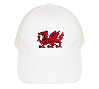 TeddyTs Adult's Welsh Dragon Baseball Cap (White), M-L