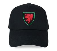 TeddyT's Men's Wales Dragon Shield Black Baseball Cap Hat