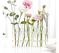 Tedious Hinged Glass Vase | Clear Hinged Flower Vase | Test Tubes Vase Wedding Table Decorations Centrepiece | Modern Tube Bud Vase for Flowers Plants Home Decor (6/8)