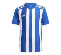 Tee adidas Striped 21 Jr GH7323