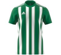 Tee adidas Striped 21 JSY M H35644