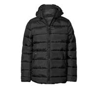 Tee Jays Womens/Ladies Lite Hooded Padded JacketM Black RW10886