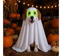 Teeanzo Halloween Dog Ghost Costume for Medium Dogs, White Breathable Funny Pet Ghost Clothes with Glow in The Dark Eyes Loose Festive Outfit for Halloween Cosplay Party