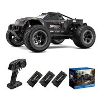 Teeggi Remote Controlled Car 50 km/h, 1:10 RC High Speed Offroad Drift Racing Car, 2.4G High Speed Motor 4WD Off Road Race Buggy for Adults, 3 Batteries (Grey)