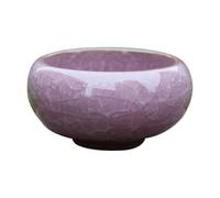 TEEKU Small Ceramic Succulent Pot With Hole Delicate For Plants Tiny Porcelain Planter Plant Flower Faux Container Home And Decor 1pc Pumpkin Potpourri (Purple, One Size)