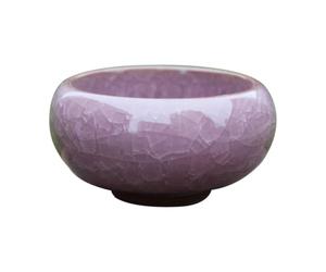 TEEKU Small Ceramic Succulent Pot With Hole Delicate For Plants Tiny Porcelain Planter Plant Flower Faux Container Home And Decor 1pc Pumpkin Potpourri (Purple, One Size)