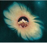 Teen Daze - A Silent Planet （ボーナス・トラック7曲収録・日本独自アルバム仕様盤）