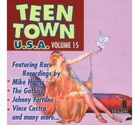 Teen Town Usa, Vol. 15 (Mike Harris-Johnny Fortune-Vince Castro And More)