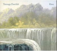 TEENAGE FANCLUB - HERE