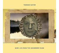 Teenage Guitar - More Lies From The Gooseberry Bush - CD - D1398z