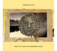 Teenage Guitar - More Lies From The Gooseberry Bush [VINYL]