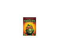 Teenage Mutant Ninja Turtles 3 (BigFace) (DVD)