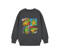 Teenage Mutant Ninja Turtles Boys Grey Have A Slice Day Sweatshirt - 3-4 Years