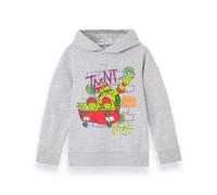 Teenage Mutant Ninja Turtles Boy's Hoodie | Grey Marl | Official Merch | Size: 5-6 Years Teenage Mutant Ninja Turtles Grey 5-6 Years