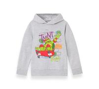 Teenage Mutant Ninja Turtles Boys Hoodie | Kids Shell Skater Raphael Graphic Hooded Sweatshirt in Grey | Skateboard Graffiti Character Apparel Top | TMNT Comic Book Movie Series Game Merchandise Gift