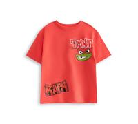 Teenage Mutant Ninja Turtles Boys Red Raph Short Sleeved T-Shirt - 9-10 Years