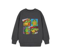 Teenage Mutant Ninja Turtles Boy's Sweatshirt | Boys Charcoal | Official in Grey | Size: 13-14 Years Teenage Mutant Ninja Turtles Grey 13-14 Years