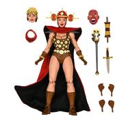 Teenage Mutant Ninja Turtles Comic 7 Inch Action Figure Renet