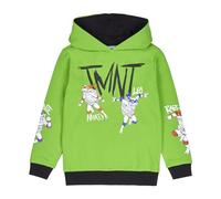 Teenage Mutant Ninja Turtles Hoodie | TMNT Hooded Jumper Sweatshirt for Young Boys | Official Ninja Turtles Merchandise Clothing (UK, Age, 7 Years, 8 Years, Regular, Green)