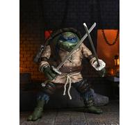 Teenage Mutant Ninja Turtles Hunchback Leonardo Universal Monster Action Figure