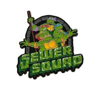Teenage Mutant Ninja Turtles Limited Edition 40th Anniversary Pin Badge