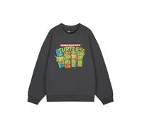Teenage Mutant Ninja Turtles Mens Grey Sweatshirt | Retro TMNT Graphic Sweater | Classic Ninja Turtles Apparel | Leonardo, Donatello, Michelangelo & Raphael | Vintage Cartoon Sweatshirt for Men