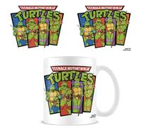 Teenage Mutant Ninja Turtles (Paperback Book)