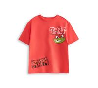 Teenage Mutant Ninja Turtles Raph Red Short Sleeve Graphic Tee | TMNT Boys T-Shirt | Crew Neck Cartoon Top | Casual Wear for Kids | Raphael Character Apparel | Turtles Merch - 4-5 Years