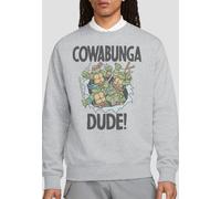 Teenage Mutant Ninja Turtles Tmnt Cowabunga Dude Pf Sweatshirt, Athletic Heather in Light Grey | Size: Small Teenage Mutant Ninja Turtles Light Grey S