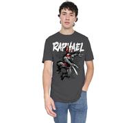Teenage Mutant Ninja Turtles TMNT TMNT Raphael Unisex T Shirt, Charcoal, XX-Large