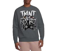 Teenage Mutant Ninja Turtles Tmnt Tmnt Team Crew Sweatshirt, Charcoal, XX-Large