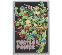 Teenage Mutant Ninja Turtles Turtle Power Silver Metal Sign - Fun TMNT Wall Art for Kids' Bedroom or Man Cave