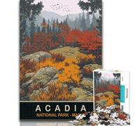 Teenager Jigsaw Acadia National Park 1000 Pieces Jigsaw Puzzles For Teens And Adults,Diy Modern Wall Art Unique Gift Home Decor 75x50cm