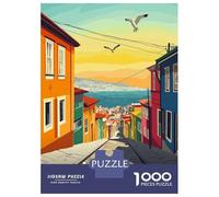 Teenager Jigsaw Puzzles 1000 Pieces Valparaiso, Chile Jigsaw for Adults Relax Games Perfect Decoration Great Gift for Gaming 38x26cm/1000pcs