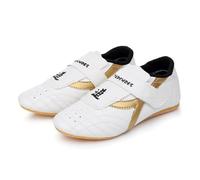 Teenager Martial Arts Training Shoes Kids Adults Taekwondo Shoes Boxing Shoes Training Wrestling Shoes Taekwondo Kung Fu Tai Chi Sport Gym Shoes for Boys Girls Men Women Kid 12.5 White Gold