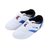 Teenager Martial Arts Training Shoes,Kids Taekwondo Shoes,Kung Fu Tai Chi Shoes,Taekwondo Karate Training Shoes,Breathable Soft Sole,Unisex,Gym,Trainers,Kung Fu,Tai Chi,Martial Arts