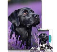Teenager Puzzles Lavender And Labrador Puzzles 1000 Pieces for Adults,Brain Teaser Game Wall Decoration Unique Birthday And Xmas Gifts 50x75cm